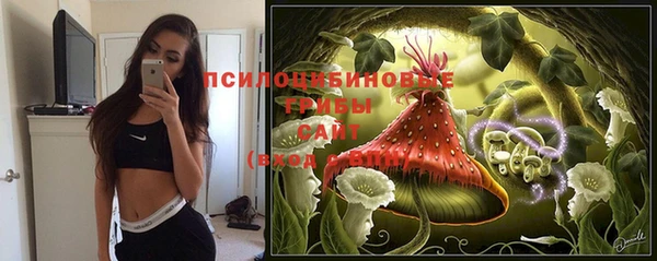 сатива Алексеевка