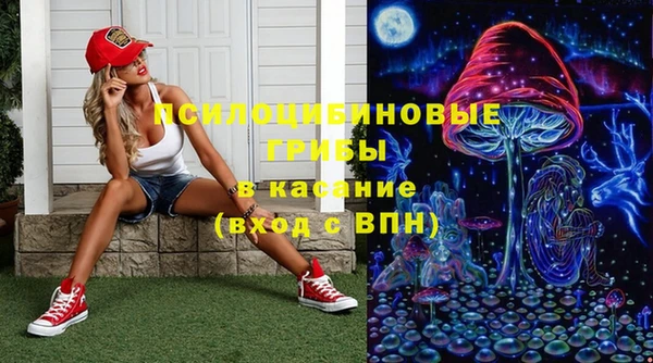 спиды Алексин