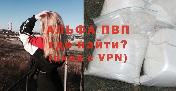 сатива Алексеевка