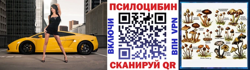 Псилоцибиновые грибы прущие грибы Ставрополь